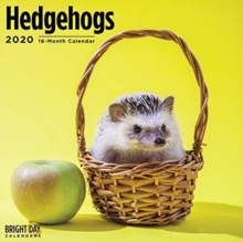 HEDGEHOGS WALL CALENDAR 2020, Book HEDGEHOGS WALL CALENDAR 2020, Book