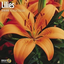 LILYS WALL CALENDAR 2020, Book LILYS WALL CALENDAR 2020, Book