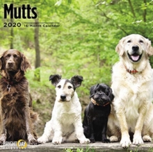 MUTTS WALL CALENDAR 2020, Book MUTTS WALL CALENDAR 2020, Book