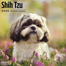 SHIH TZU WALL CALENDAR 2020, Book SHIH TZU WALL CALENDAR 2020, Book