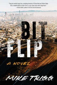 Bit Flip : A Novel