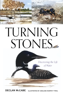 Turning Stones : Discovering the Life of Water