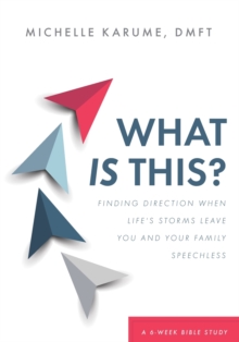 What Is This? : Finding Direction When Life's Storms Leave You and Your Family Speechless