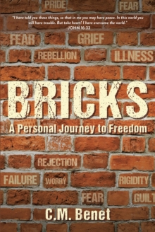 Bricks : A Personal Journey to Freedom