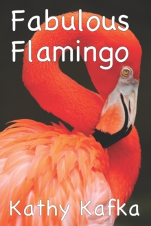 Fabulous Flamingo