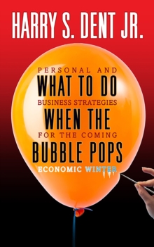 What to Do When the Bubble Pops : Personal and Business Strategies For The Coming Economic Winter