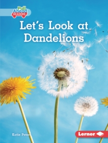 Let's Look at Dandelions