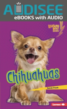 Chihuahuas