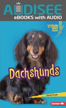 Dachshunds