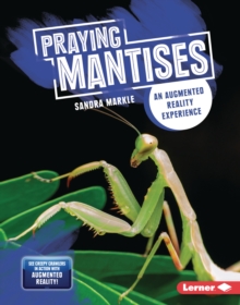 Praying Mantises : An Augmented Reality Experience