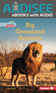 Big Grassland Animals