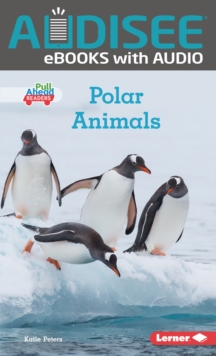 Polar Animals