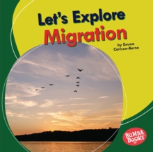 Let's Explore Migration