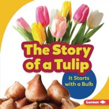 The Story of a Tulip : It Starts with a Bulb