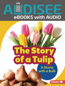 The Story of a Tulip : It Starts with a Bulb