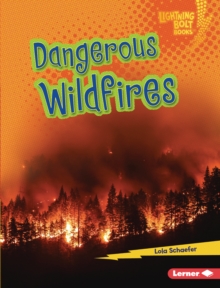 Dangerous Wildfires