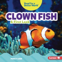 Clown Fish : A First Look