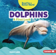 Dolphins : A First Look