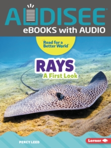 Rays : A First Look