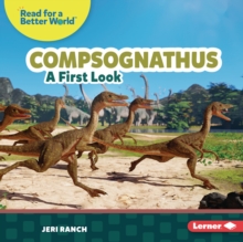 Compsognathus : A First Look