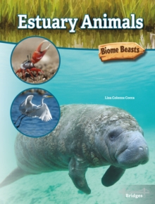 Estuary Animals