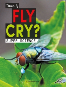 Does a Fly Cry?