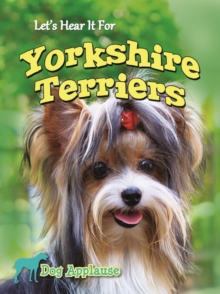 Let's Hear It For Yorkshire Terriers