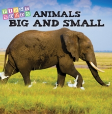 Animals Big and Small