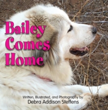 Bailey Comes Home