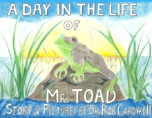 A Day in the Life of Mr. Toad