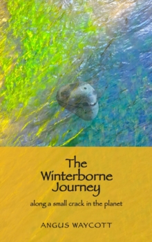 Winterborne Journey