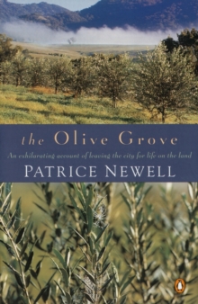 The Olive Grove