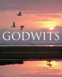 Godwits