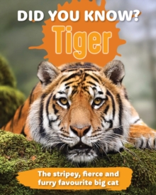 Did You Know? Tiger : The stripey, fierce and furry favourite big cat