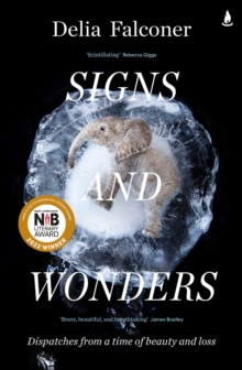 Signs and Wonders : Dispatches from a time of beauty and loss