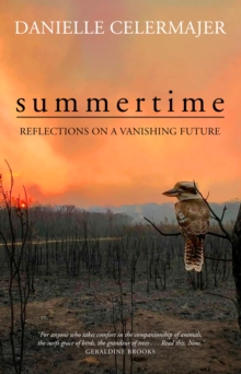 Summertime : Reflections On A Vanishing Future