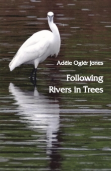 Following Rivers in Trees