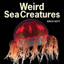Weird Sea Creatures, Paperback / softback Book Weird Sea Creatures, Paperback / softback Book