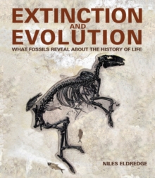 Extinction and Evolution : What Fossils Reveal About the History of Life, Hardback Book Extinction and Evolution : What Fossils Reveal About the History of Life, Hardback Book