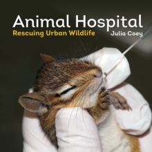 Animal Hospital : Rescuing Urban Wildlife, Paperback Book Animal Hospital : Rescuing Urban Wildlife, Paperback Book