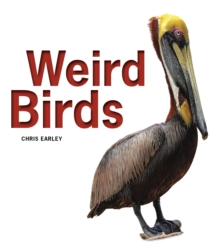 Weird Birds