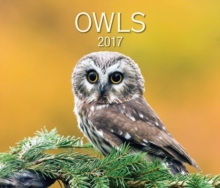 Owls 2017, Calendar Book Owls 2017, Calendar Book