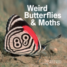 Weird Butterflies & Moths, Hardback Book Weird Butterflies & Moths, Hardback Book
