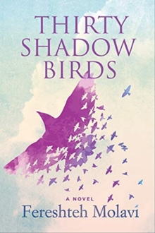 Thirty Shadow Birds, Paperback / softback Book Thirty Shadow Birds, Paperback / softback Book