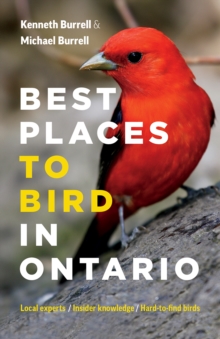 Best Places to Bird in Ontario