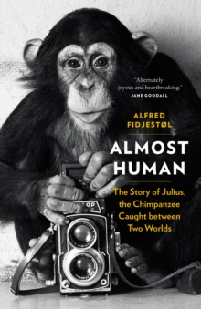 Almost Human : The Story of Julius, the Chimpanzee Caught between Two Worlds