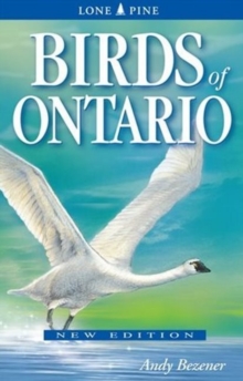 Birds of Ontario, Paperback / softback Book Birds of Ontario, Paperback / softback Book