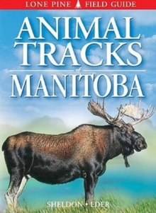 Animal Tracks of Manitoba, Paperback / softback Book Animal Tracks of Manitoba, Paperback / softback Book