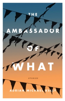 The Ambassador Of What : Stories