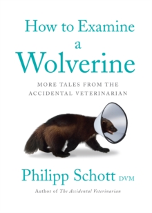 How To Examine A Wolverine : More Tales from the Accidental Veterinarian